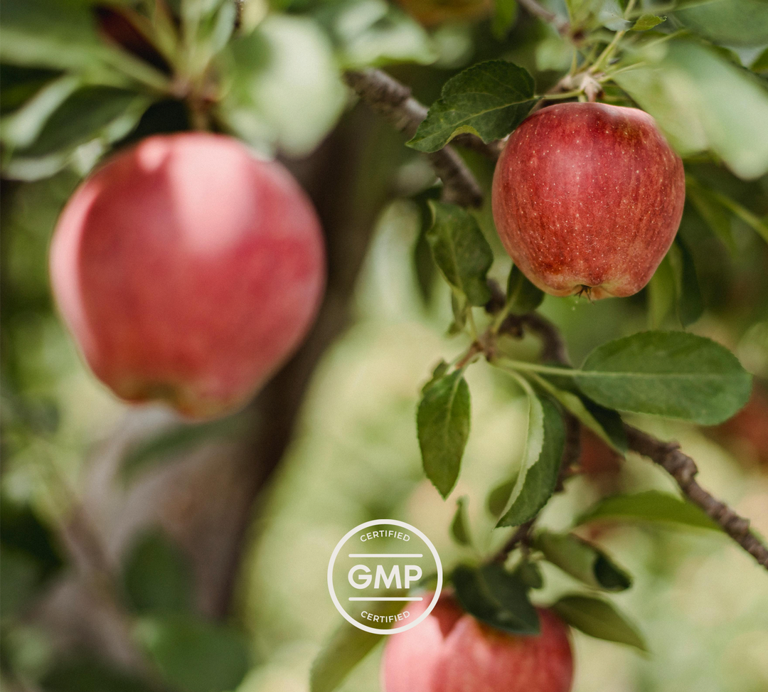 certified GMP & apples