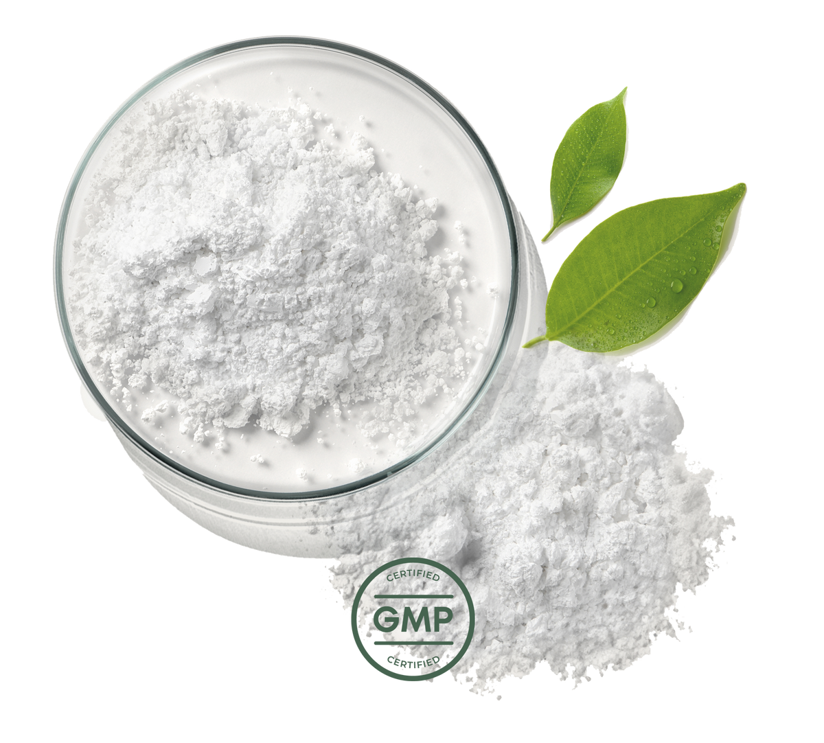GMP certified supplement 