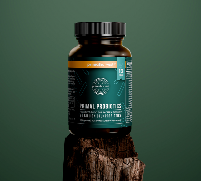 probiotics and prebiotics supplement