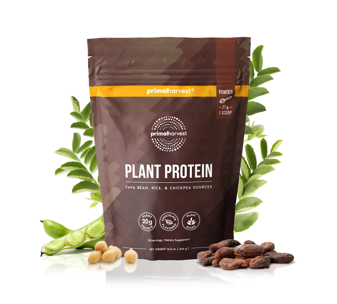 Plant Protein Fava Bean, Rice, and Chickpea sources
