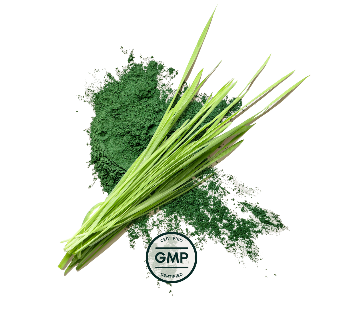 GMP certified supplement
