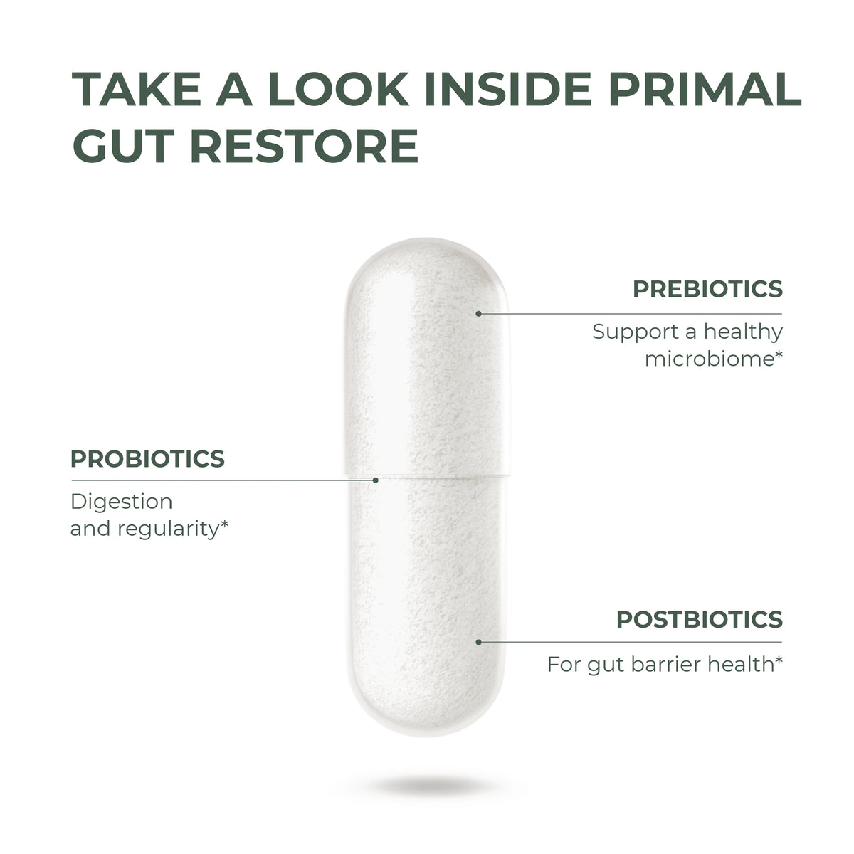 Primal Gut Restore