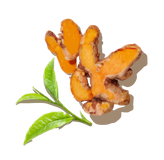 Turmeric Root Extract