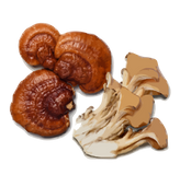 Dried mushrooms on a white background