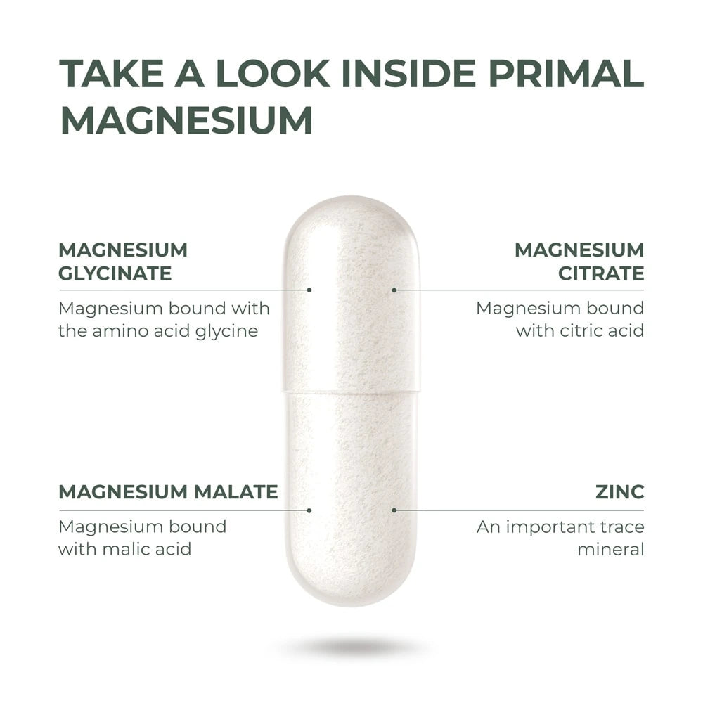 Primal Magnesium supplement capsule with labeled components on a white background