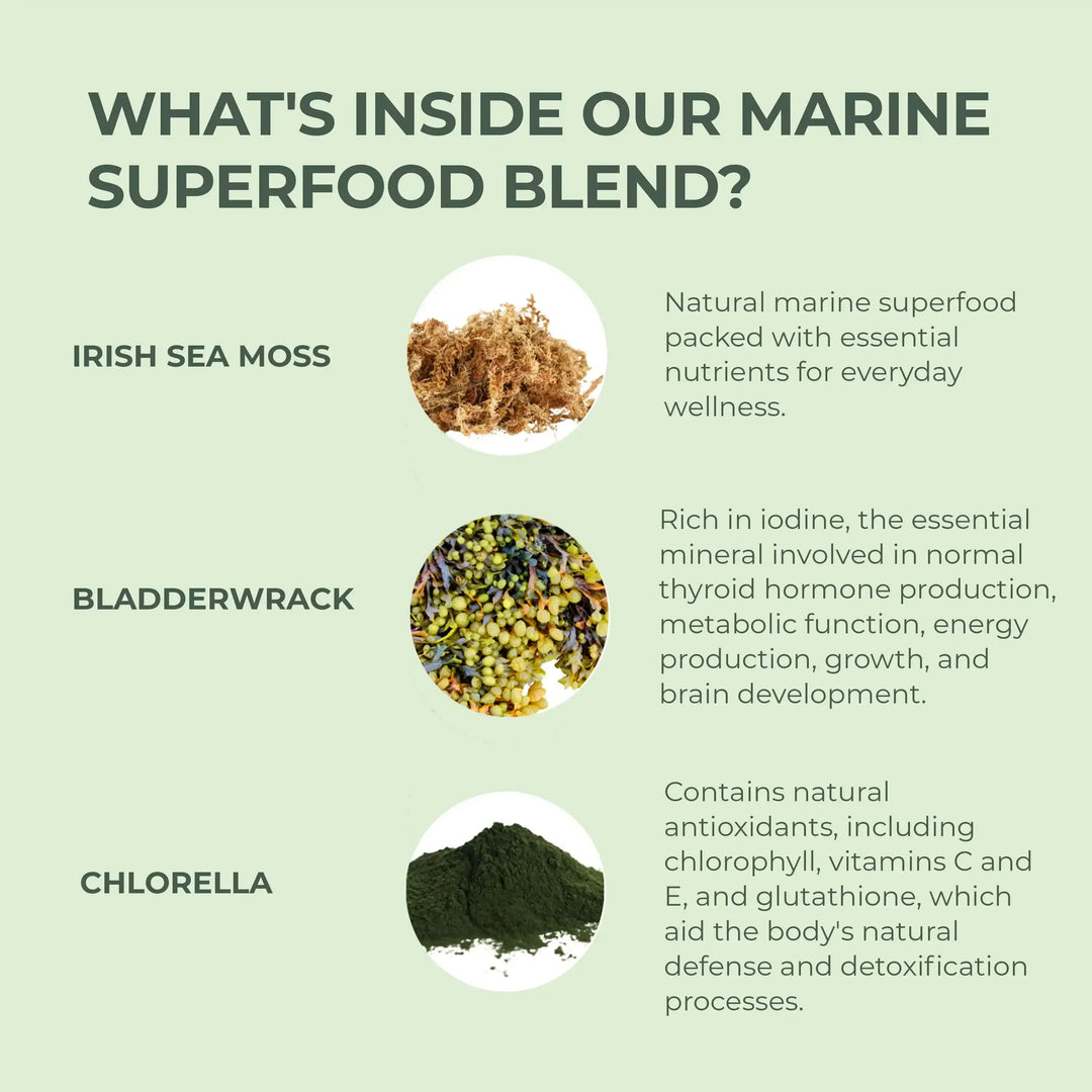 Marine superfood blend ingredients with images and descriptions on a light green background