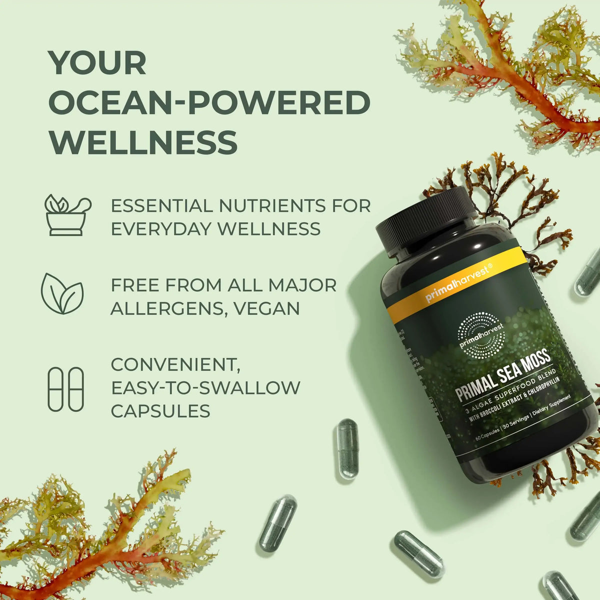 Primal Sea Moss supplement bottle with ocean-themed design on a light green background